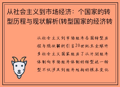 从社会主义到市场经济：个国家的转型历程与现状解析(转型国家的经济转型)