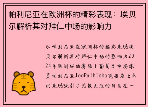 帕利尼亚在欧洲杯的精彩表现：埃贝尔解析其对拜仁中场的影响力