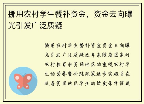 挪用农村学生餐补资金，资金去向曝光引发广泛质疑