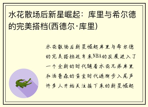 水花散场后新星崛起：库里与希尔德的完美搭档(西德尔·库里)